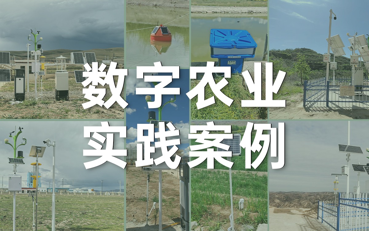 案例深一度 | 欧陆注册(中国区)官方网站科技如何用数字科技赋能西部农业